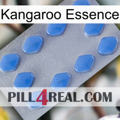 Kangaroo Essence 21